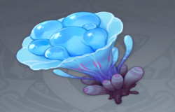 原神海灵芝分布图 原神海灵芝哪里多 原神海灵芝分布图 原神海灵芝哪里多